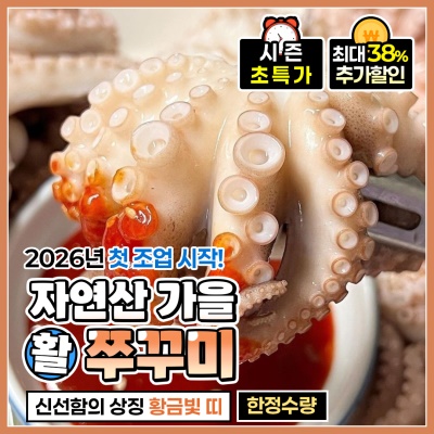 올해 첫 조업! 당일바리 가을 활 쭈꾸미 500g 1kg
