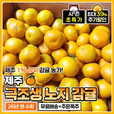 제주 산지에서 직접 보내드리는 제주 극조생 노지감귤