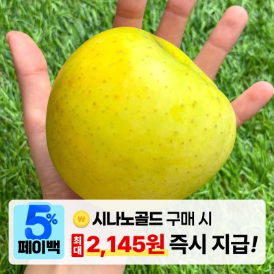 [페이백] GAP인증 청송 황금사과 시나노골드
