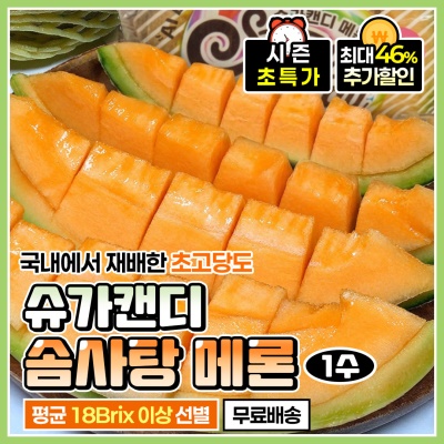 국내산 신품종 슈가캔디 솜사탕 멜론