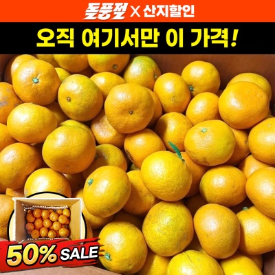 제주 프리미엄 극조생 노지감귤 5kg