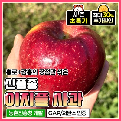 홍로와 감홍의 만난 신품종! 새콤달콤 이지플 사과