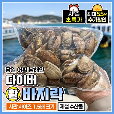 당일어획 남해안 다이버 대왕 활 바지락 