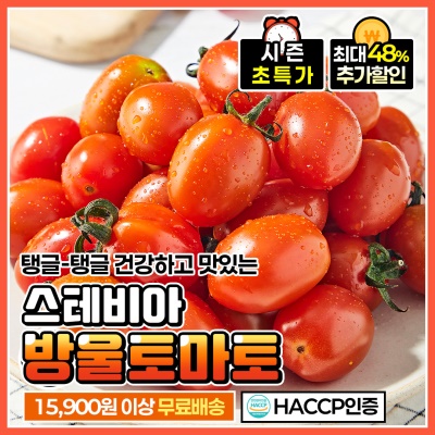 후숙이 필요없는 달콤함! 스테비아 방울토마토