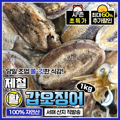 신선도 보장! 당일조업 싱싱한 제철 활 갑오징어 1kg