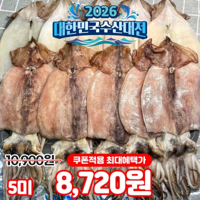 촉촉하고 부드러운 피데기 반건조 오징어 5미 10미