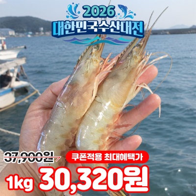 [50개 한정수량] 횟감용 자연산 특대 왕돼지 생물 암대하 1kg (16~18미 내외)