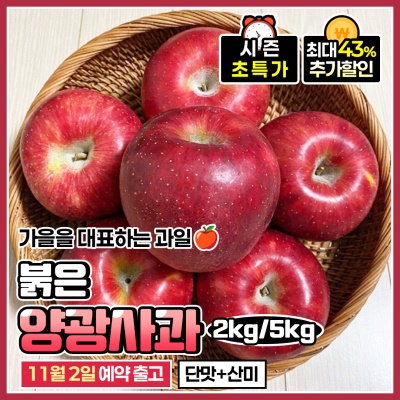 아삭하고 달콤한 제철 양광사과 로얄과