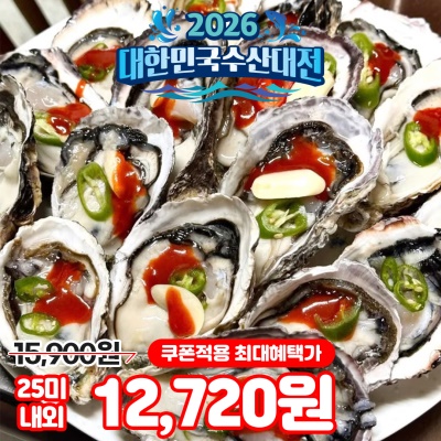 산지직송! 싱싱하고 통통한 통영 제철 반각굴 하프셀 (횟감용)