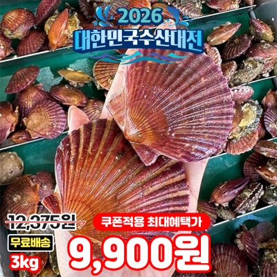 [무료배송] 통영 A급 국내산 홍가리비 대사이즈 3kg (60미 내외)