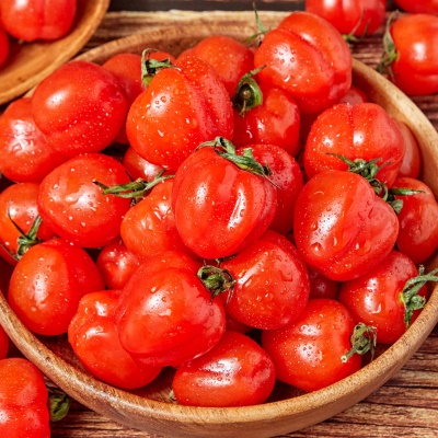 담양 수확! 피망처럼 생긴 신품종 루비벨 토마토