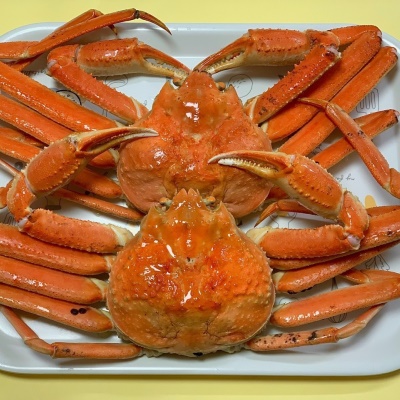 [명절 전 도착!] 수율 80% 보장! A급 박달대게 러시아 마가단 대게 3kg