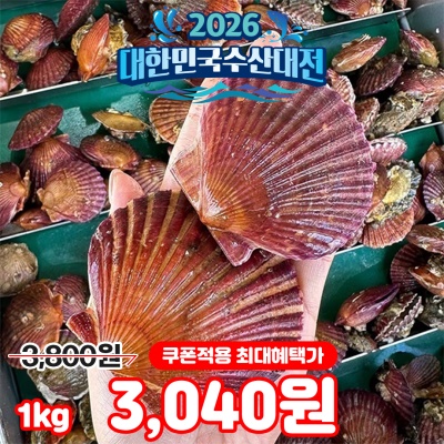 통영 A급 국내산 홍가리비 대사이즈 1kg (20미 내외)