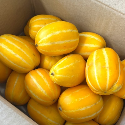 [100개 한정수량] 아삭아삭 달콤한 가정용 성주 참외 5kg
