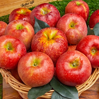 [예약출고] 아삭하고 새콤달콤한 신품종 가정용 햇 감로사과 2kg