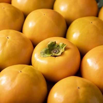 꿀을 품은 아삭아삭 달콤한 부유 단감