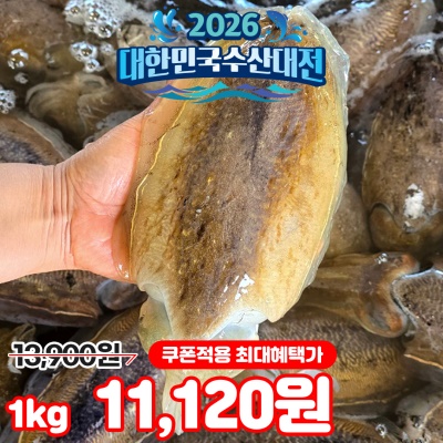 횟감 가능! 당일조업 싱싱한 제철 활 갑오징어 