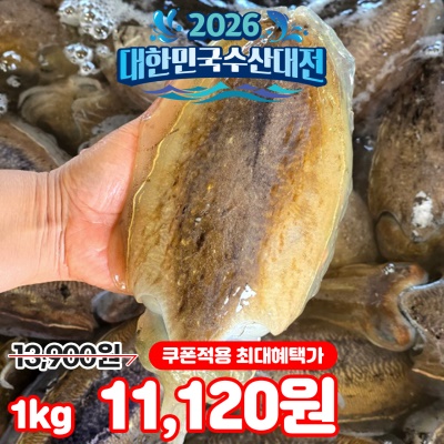 횟감 가능! 당일조업 싱싱한 제철 활 갑오징어 