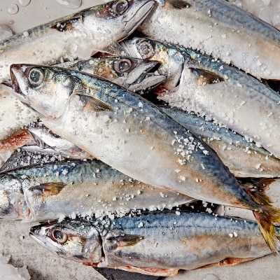 ★무료배송★ 1마리 2,000원! 자반고등어 10미 