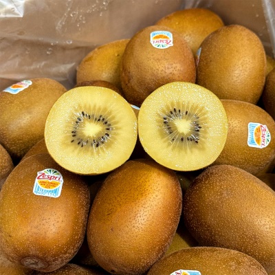 [대용량] 제스프리 고당도 골드키위 5.5kg