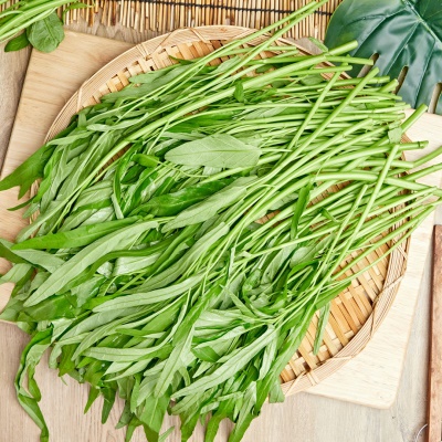 모닝글로리 베트남 야채 국내산 공심채 500g