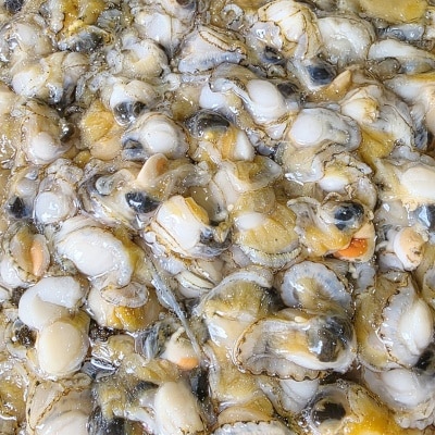 살만 쏙쏙! 쫄깃 달큰한 국내산 깐 홍가리비살