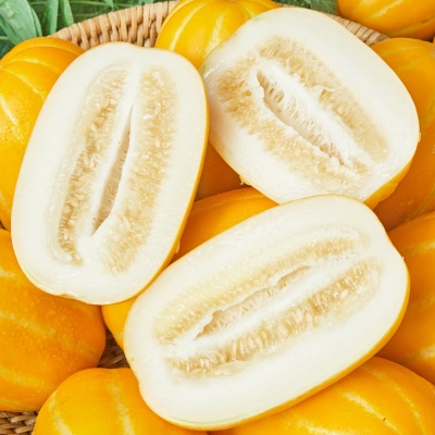 [특가할인] 자체선별 프리미엄 하우스 성주 꿀참외