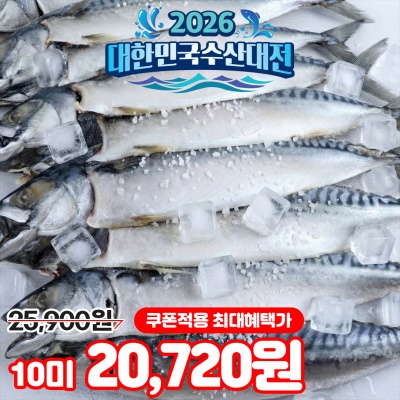 신선함이 살아있는 노르웨이산 자반고등어 10미