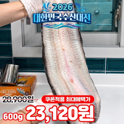 국내산 자포니카 특대 사이즈 대물 풍천 민물장어 1kg