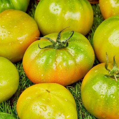 못생겼지만 짭짤하다! 대저 못난이 토마토 2.5kg