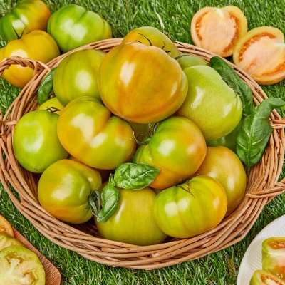 단짠단짠 제철에 즐기는 부산 대저 짭짤이 토마토 2.5kg