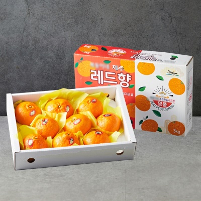 제주 제철 만감류 레드향 선물세트