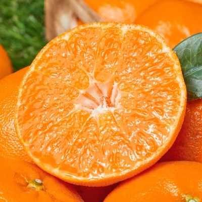 지금이 달콤함의 제철! 제주의 신선함을 듬뿍 담은 레드향