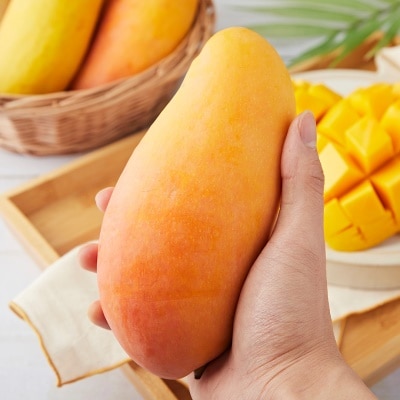 https://aka-dolfood.moall.shop/data/goods/sm7396/small/thum2/마하차녹썸네일(61).jpg