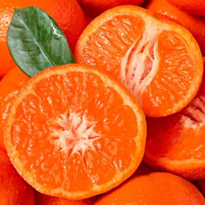 [특가할인] 프리미엄 고당도 만다린 귤 오렌지