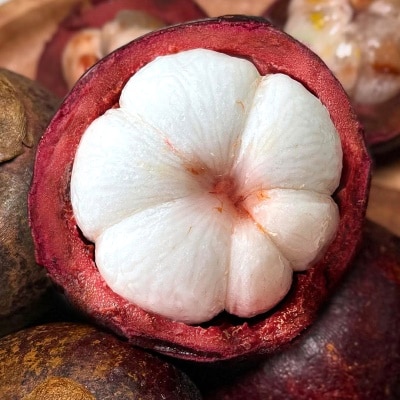 https://aka-dolfood.moall.shop/data/goods/sm7396/small/thum2/망고스틴썸네일.jpg