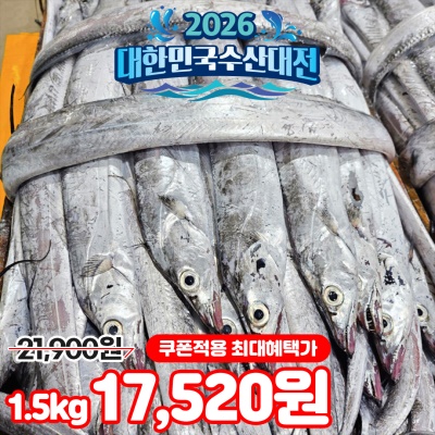 산지 직발송! 싱싱한 국내산 생물 갈치 2kg