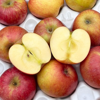 못생겼지만 아삭하다! 국내산 못난이 사과 부사사과