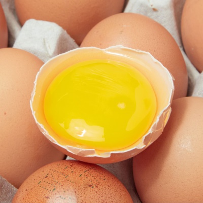 HACCP 인증 무항생제 대란 특란 계란 달걀 