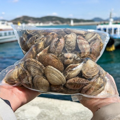 당일어획 국내산 활 바지락 