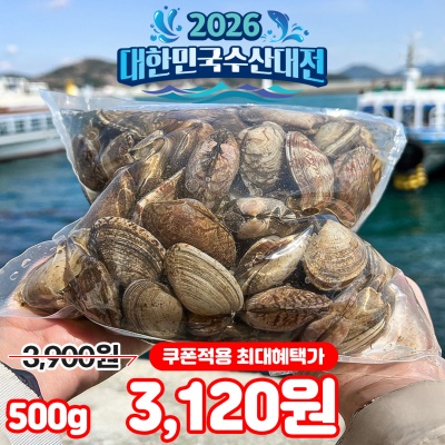 당일어획 국내산 대왕 활 바지락 