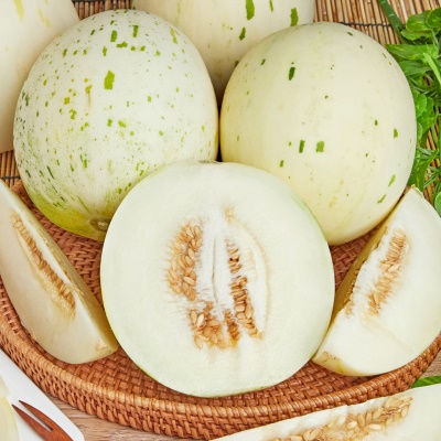 아삭아삭 향긋한 향이 일품인 고당도 백자멜론