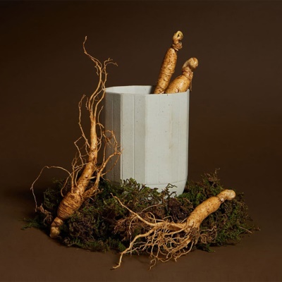 우리 가족 면역력 케어! 6~10년근 가정용 산양산삼