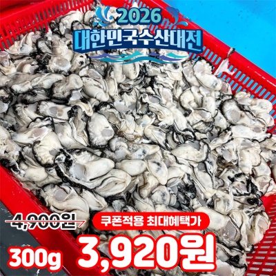 횟감용 올해 첫 출하 싱싱한 제철 통영 생굴
