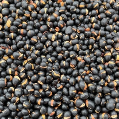 국산 볶은 서리태콩 약콩 율무 수수 흑미 현미