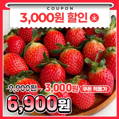 새콤달콤 당도 폭발! 싱싱한 논산 제철 설향딸기