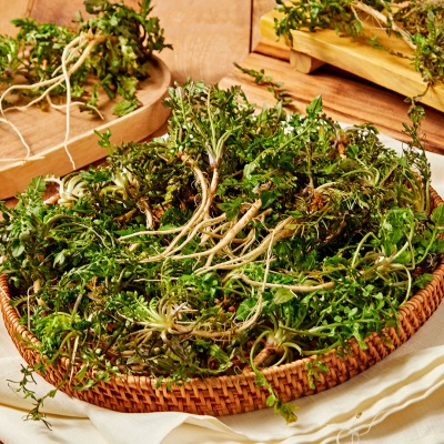 노지 재배로 향이 살아있는 충남 세척냉이