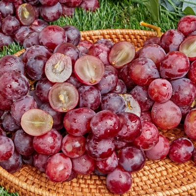 20Brix의 달콤함! 과즙 폭발 스윗셀럽 적포도