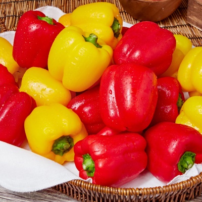 아삭 달달한 스테비아 파프리카