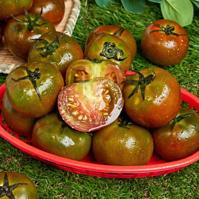 입안 가득 달콤함 단단한 과육 스테비아 흑토마토 